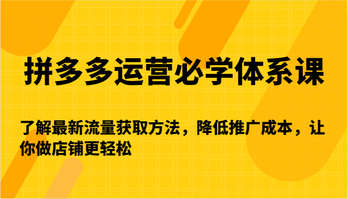 拼多多运营必学体系课-了解最新流量获取方法，降低推广成本，让你做店铺更轻松插图