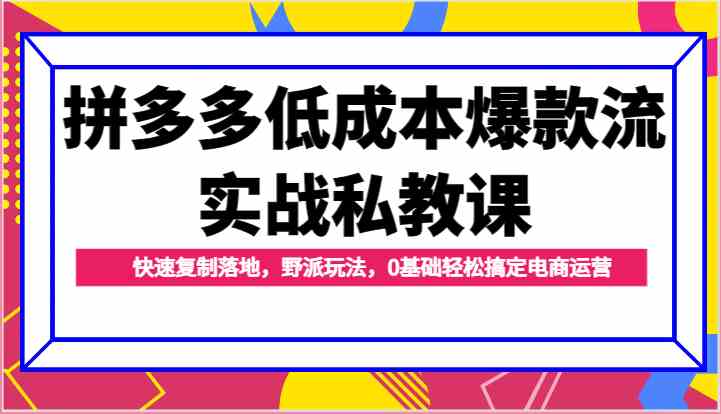 拼多多低成本爆款流实战私教课，快速复制落地，野派玩法，0基础轻松搞定电商运营插图