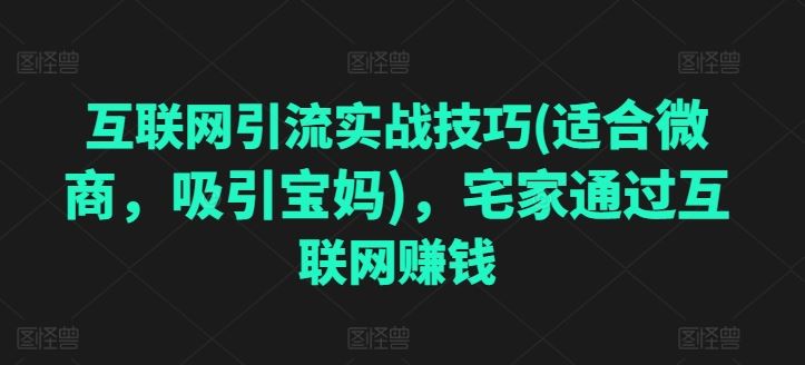 互联网引流实战技巧(适合微商，吸引宝妈)，宅家通过互联网赚钱